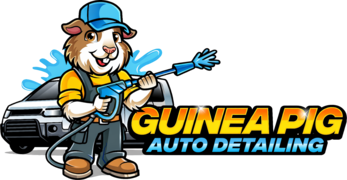 Guinea Pig Auto Detailing