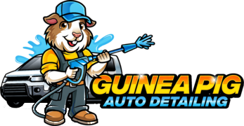 Guinea Pig Auto Detailing