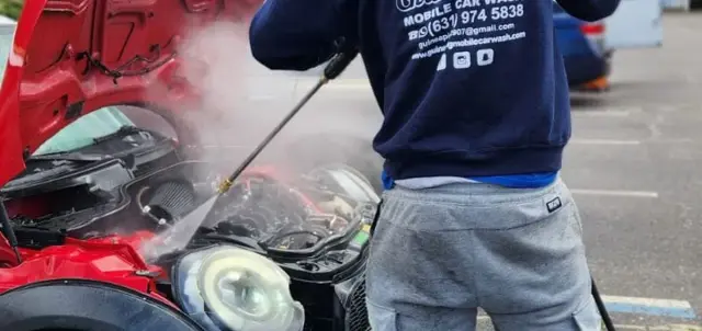 Engine Bay Cleaning at Guinea Pig Auto Detailing