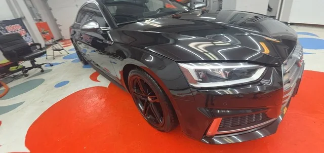 Hand-Applied Car Wax at Guinea Pig Auto Detailing