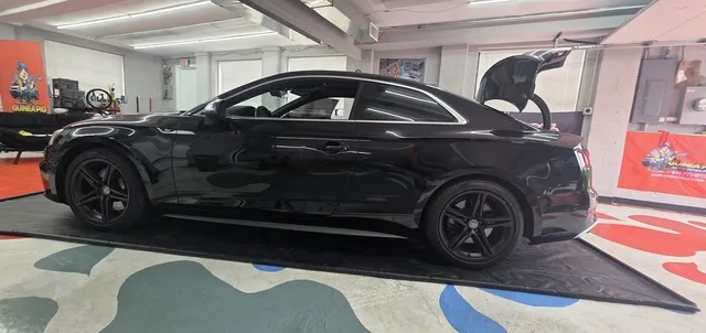 Touch-Up Paint Repair at Guinea Pig Auto Detailing