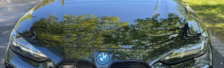 Why Fall Leaves Can Leave a Permanent Mark on Your Car’s Paint